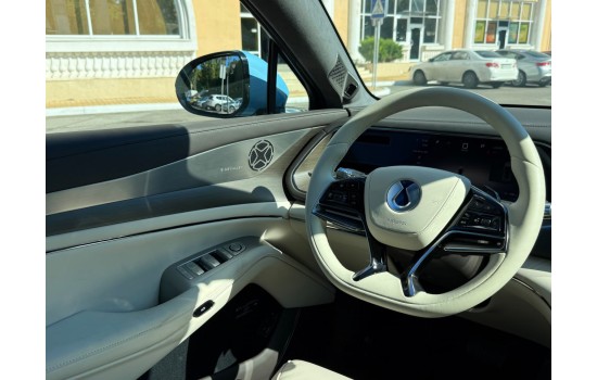 Denza N7, 702km Premium Edition